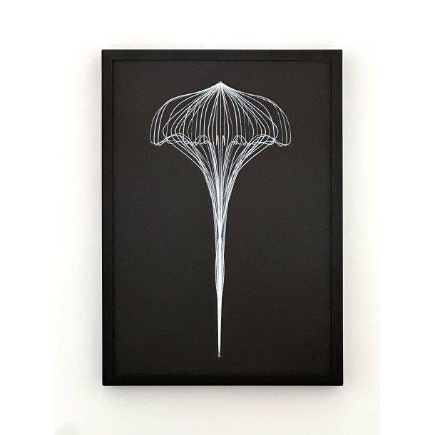 Komposition 022-202224223119249553